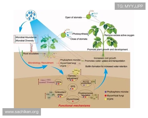 bob综合体育app的用户评价与反馈机制解析帮助开发团队优化产品体验