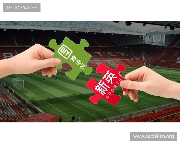 乐动全体育苹果平台的合作伙伴与资源整合，打造多元化体育生态圈