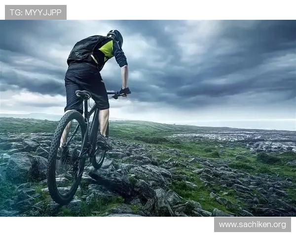 体育爱好者必备！深入了解B体育中文站的丰富内容和用户体验优化方案