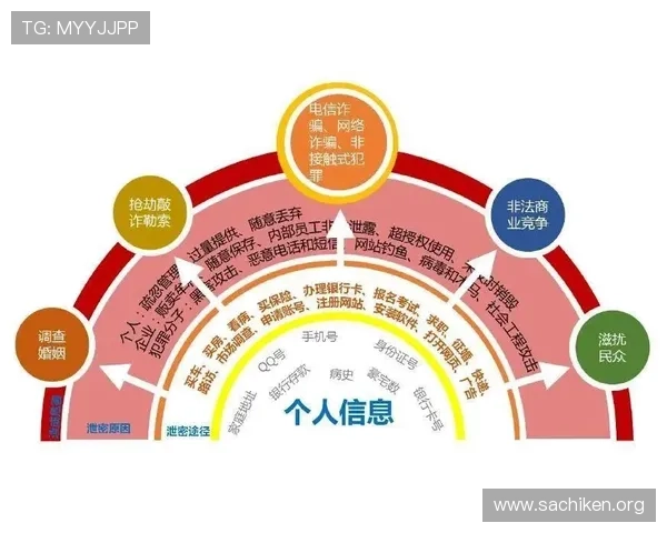 如何安全高效完成OD体育登录流程保障个人信息安全与账号稳定